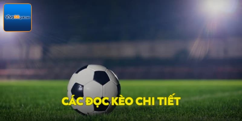 Kèo Tài Xỉu VIVA88 - Tìm Hiểu Cách Chơi Vô Cùng Chi Tiết 3 Cách đọc kèo chi tiết