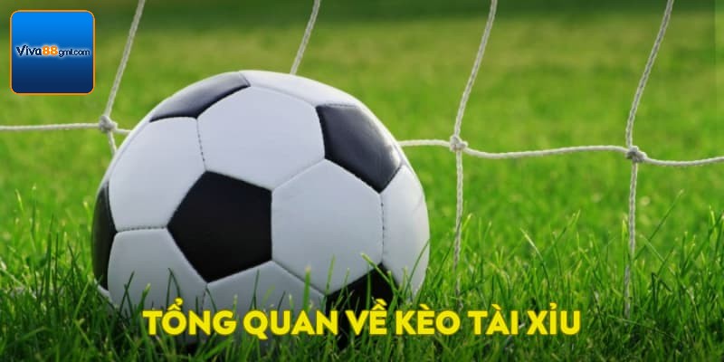 Kèo Tài Xỉu VIVA88 - Tìm Hiểu Cách Chơi Vô Cùng Chi Tiết 2 Tổng quan về kèo tài xỉu