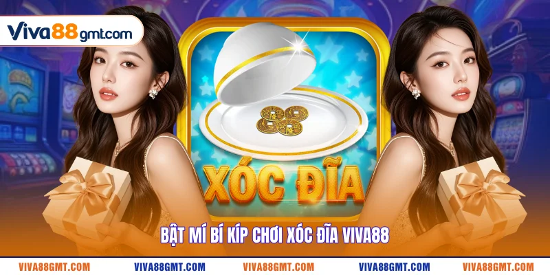 Quy Luật Xóc Đĩa VIVA88 | Công Thức Ăn Tiền Từ Chuyên Gia 4 Bật mí bí kíp chơi Xóc Đĩa VIVA88